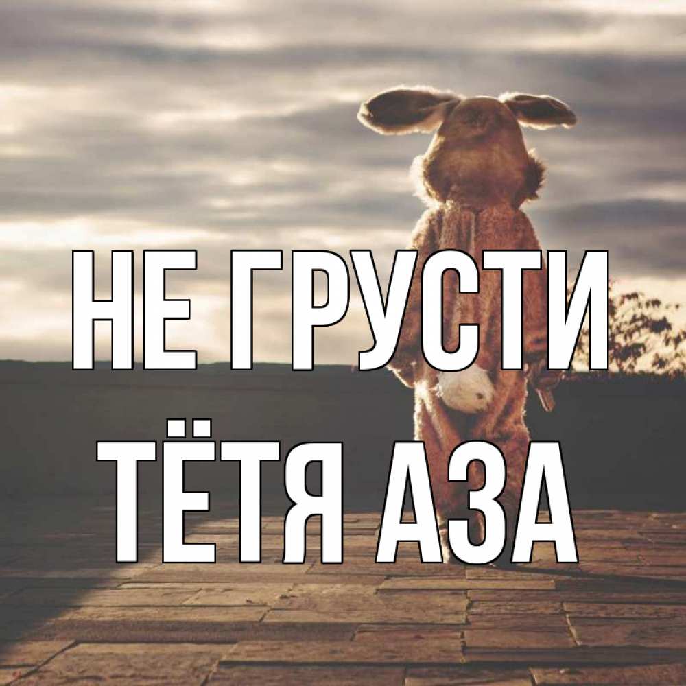 Открытка на каждый день с именем, Тётя-Аза Не грусти со спины Прикольная открытка с пожеланием онлайн скачать бесплатно 
