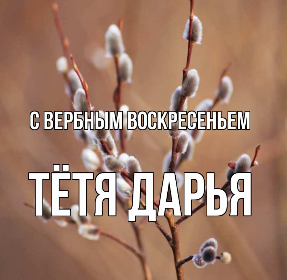 Открытка на каждый день с именем, Тётя-Дарья С вербным воскресеньем верба Прикольная открытка с пожеланием онлайн скачать бесплатно 