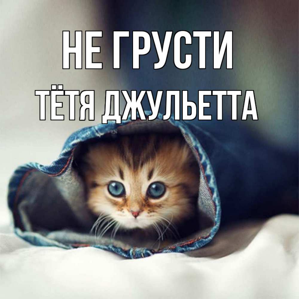 Открытка на каждый день с именем, Тётя-Джульетта Не грусти кот в одежде Прикольная открытка с пожеланием онлайн скачать бесплатно 