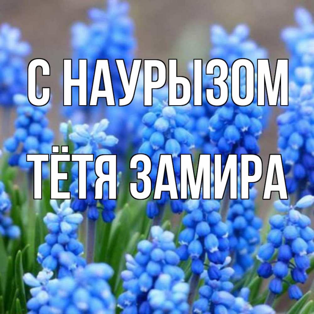 Открытка на каждый день с именем, Тётя-Замира С наурызом Поздравительная открытка для женщин с цветами на праздничную дату Прикольная открытка с пожеланием онлайн скачать бесплатно 
