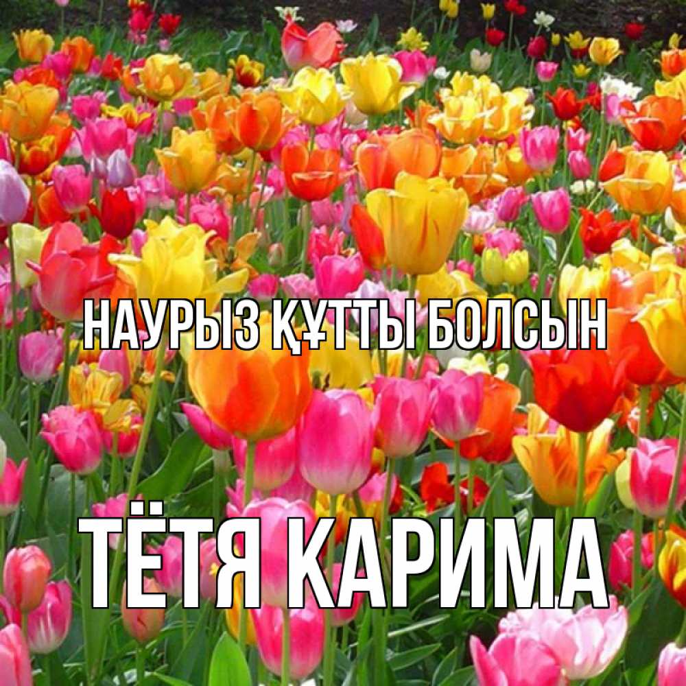 Открытка на каждый день с именем, Тётя-Карима Наурыз құтты болсын на наурыз  ура ура Прикольная открытка с пожеланием онлайн скачать бесплатно 