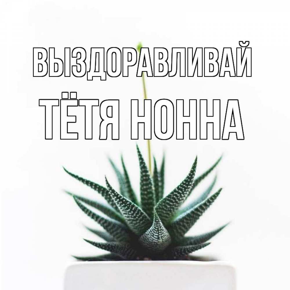Открытка на каждый день с именем, Тётя-Нонна Выздоравливай короче это непонятная колючка Прикольная открытка с пожеланием онлайн скачать бесплатно 
