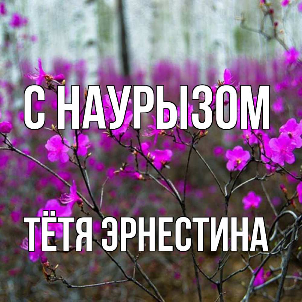 Открытка на каждый день с именем, Тётя-Эрнестина С наурызом дикие цветы Прикольная открытка с пожеланием онлайн скачать бесплатно 
