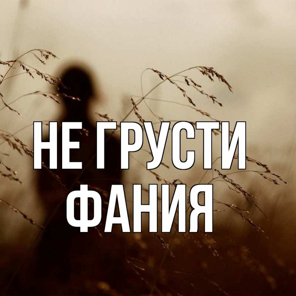 Открытка на каждый день с именем, Фания Не грусти грусть Прикольная открытка с пожеланием онлайн скачать бесплатно 