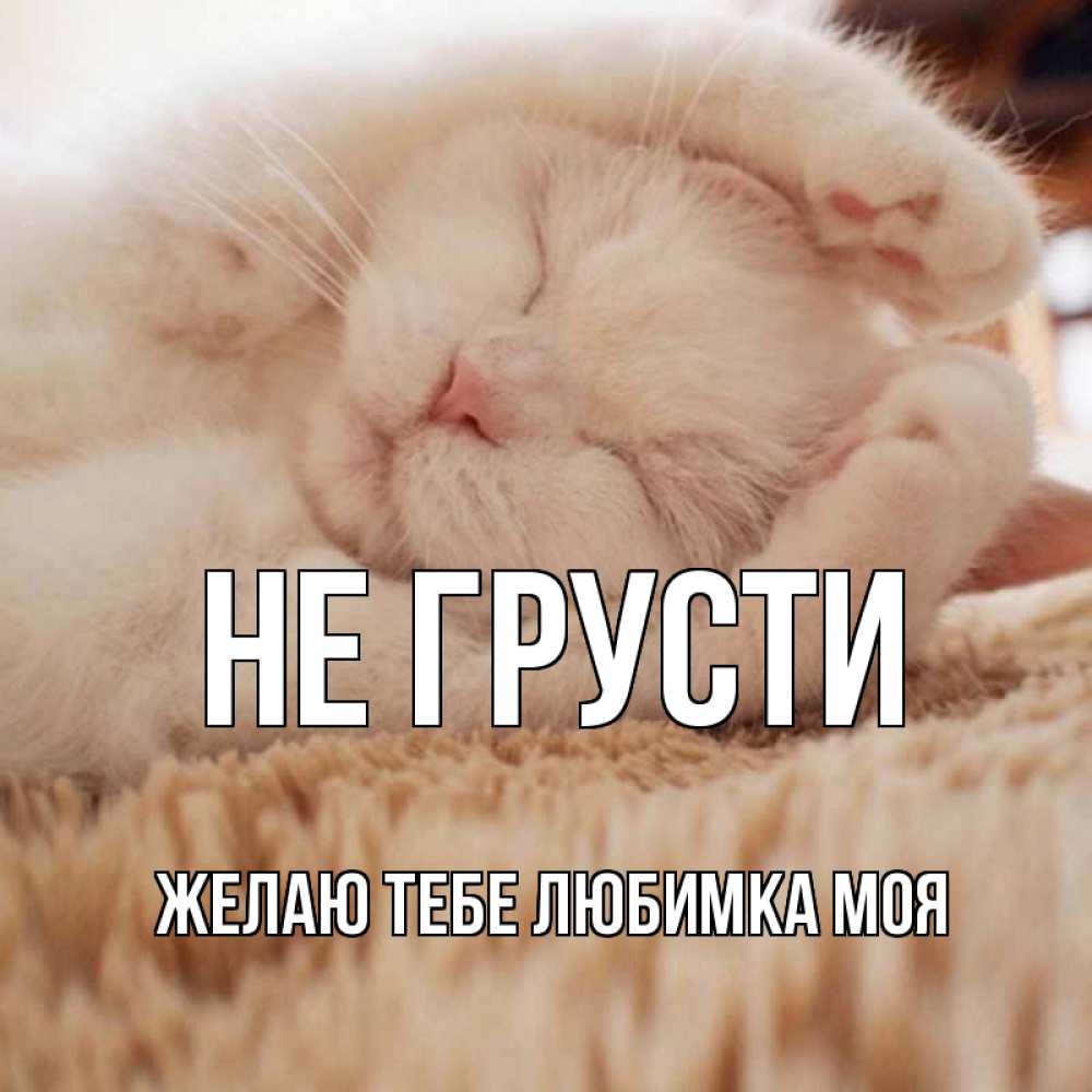 Доброе утро мой любимка мужчине картинки
