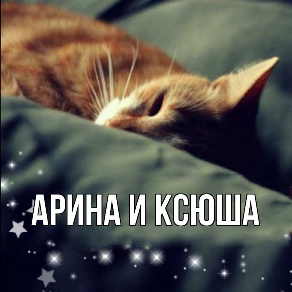 Открытка на каждый день с именем, Арина-и-Ксюша Главная кроватка Прикольная открытка с пожеланием онлайн скачать бесплатно 