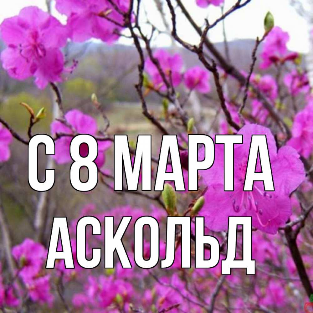 Открытка на каждый день с именем, Аскольд С 8 МАРТА международный женский день Прикольная открытка с пожеланием онлайн скачать бесплатно 