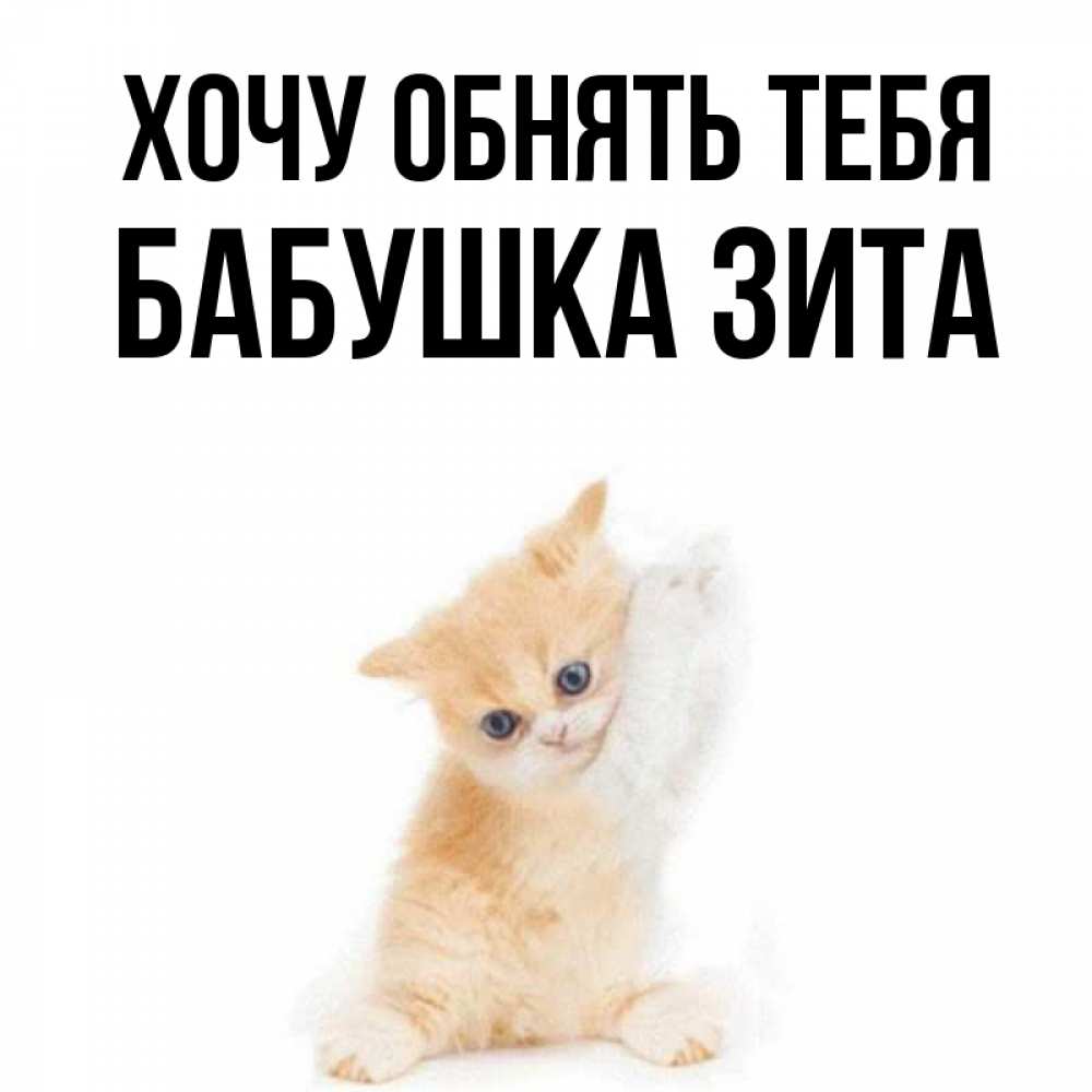 Открытка на каждый день с именем, Бабушка-Зита Хочу обнять тебя я хочу очень скорее обнимаешек Прикольная открытка с пожеланием онлайн скачать бесплатно 
