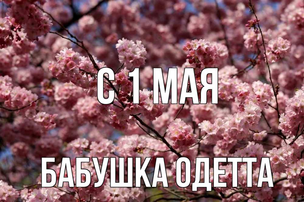 Открытка на каждый день с именем, Бабушка-Одетта С 1 мая С 1 мая Прикольная открытка с пожеланием онлайн скачать бесплатно 