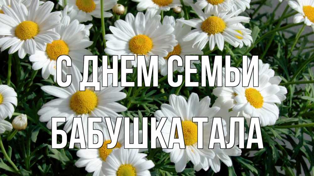 Открытка на каждый день с именем, Бабушка-Тала С днем семьи с днем семьи Прикольная открытка с пожеланием онлайн скачать бесплатно 