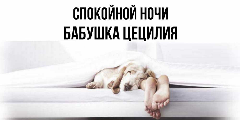 Открытка на каждый день с именем, Бабушка-Цецилия Спокойной ночи кровать с собакой пожелание сладких снов и спокойной ночи Прикольная открытка с пожеланием онлайн скачать бесплатно 