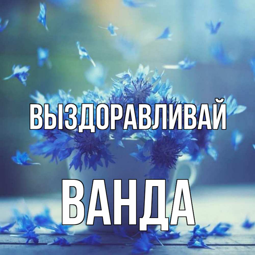 Открытка на каждый день с именем, Ванда Выздоравливай кружка с зельем и цветами Прикольная открытка с пожеланием онлайн скачать бесплатно 