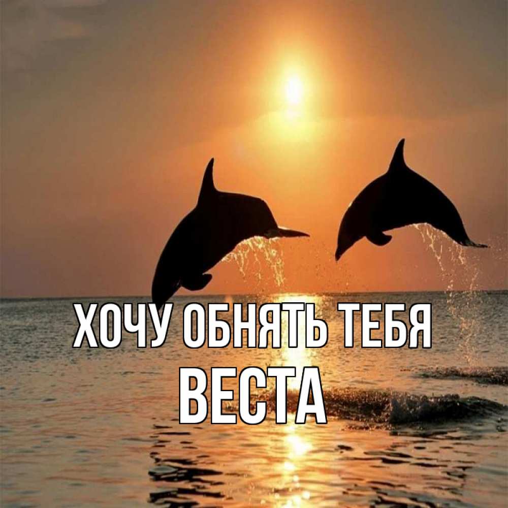 Открытка на каждый день с именем, Веста Хочу обнять тебя рыбы на закате Прикольная открытка с пожеланием онлайн скачать бесплатно 