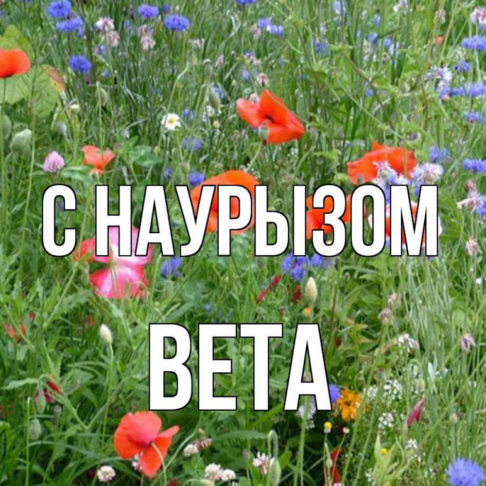 Открытка на каждый день с именем, Вета С наурызом праздник весны наурыз супер открытка Прикольная открытка с пожеланием онлайн скачать бесплатно 