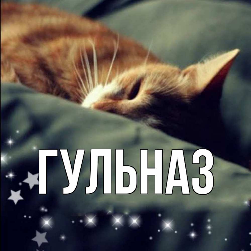 Открытка на каждый день с именем, Гульназ Главная кроватка Прикольная открытка с пожеланием онлайн скачать бесплатно 