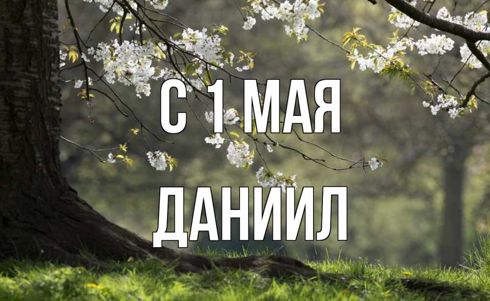 Открытка на каждый день с именем, Даниил С 1 мая С 1 мая Прикольная открытка с пожеланием онлайн скачать бесплатно 