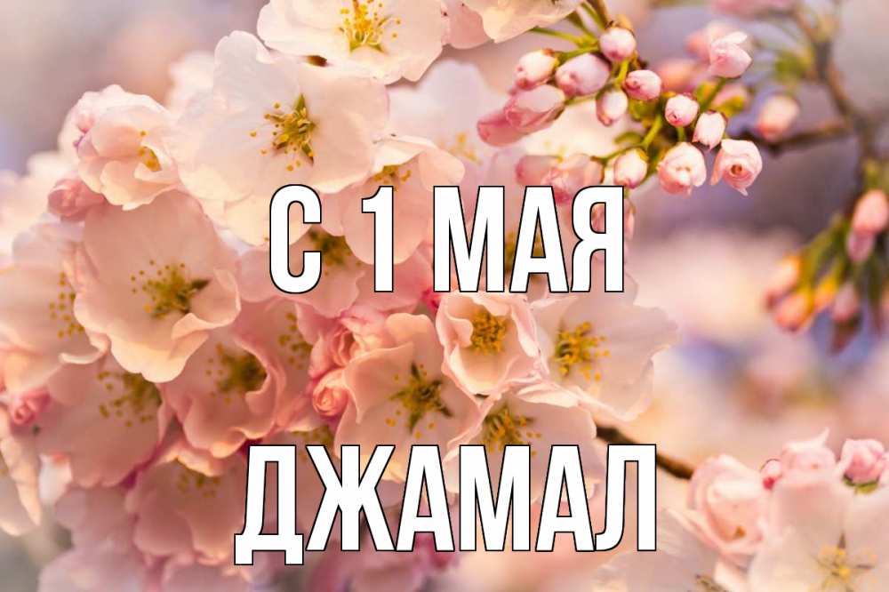 Открытка на каждый день с именем, Джамал С 1 мая С 1 мая Прикольная открытка с пожеланием онлайн скачать бесплатно 