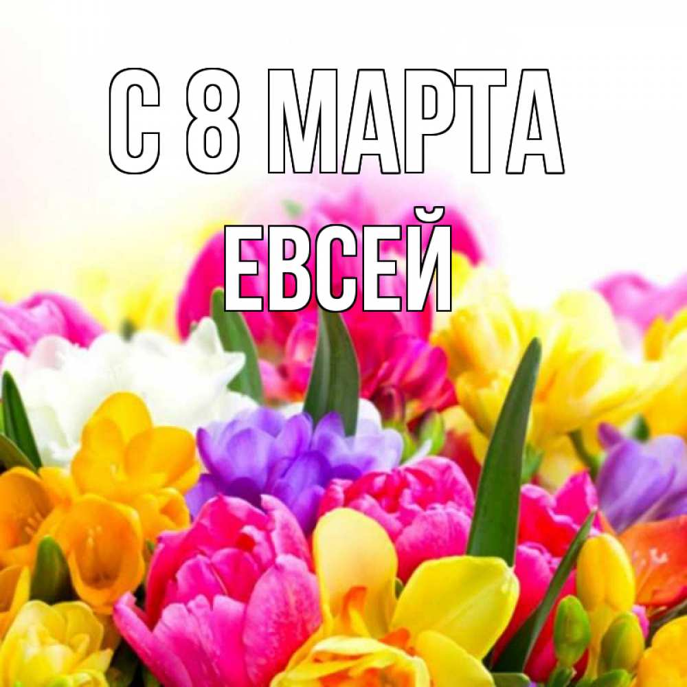 Открытка на каждый день с именем, Евсей С 8 МАРТА тюльпаны Прикольная открытка с пожеланием онлайн скачать бесплатно 