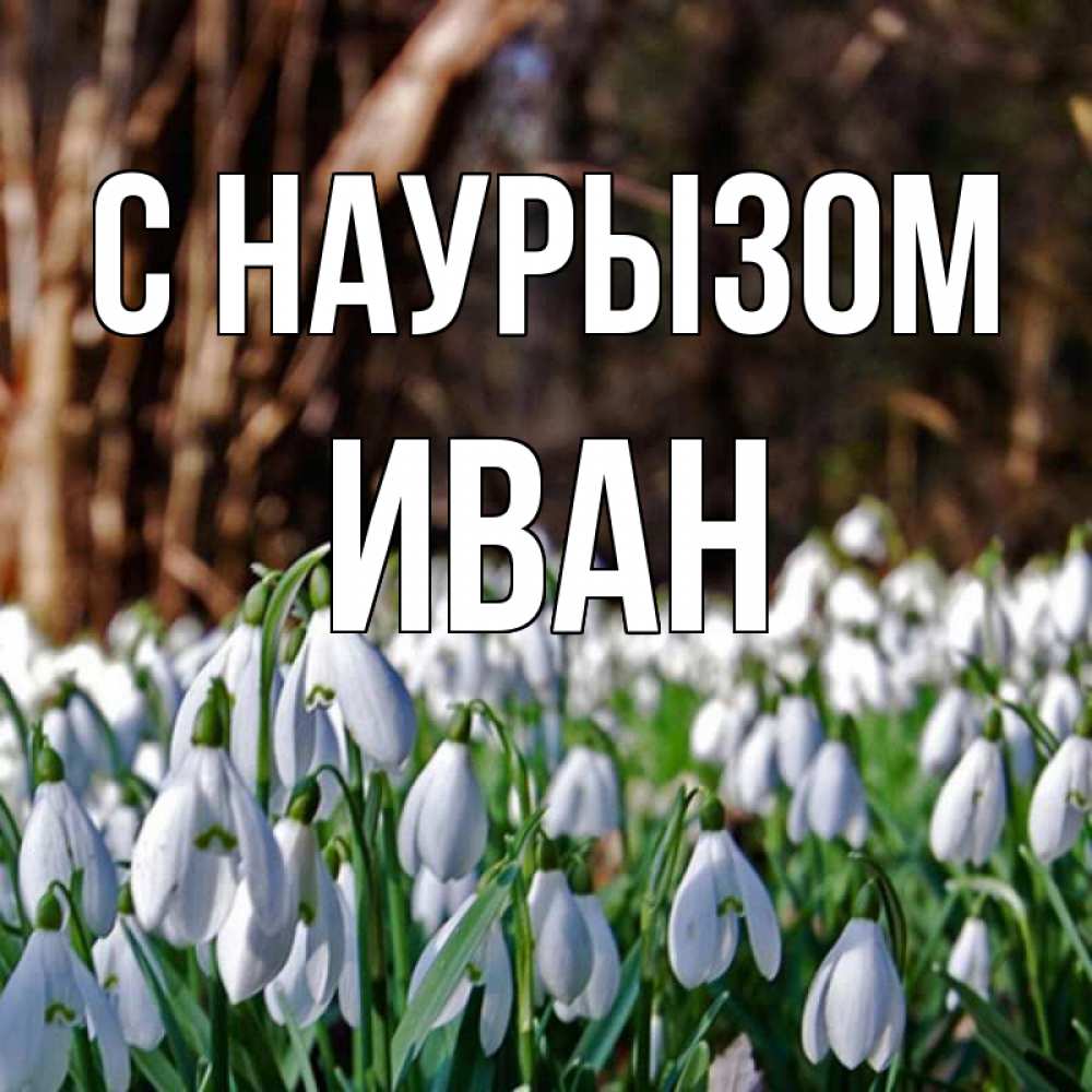 Открытка на каждый день с именем, Иван С наурызом с подснежниками 1 Прикольная открытка с пожеланием онлайн скачать бесплатно 