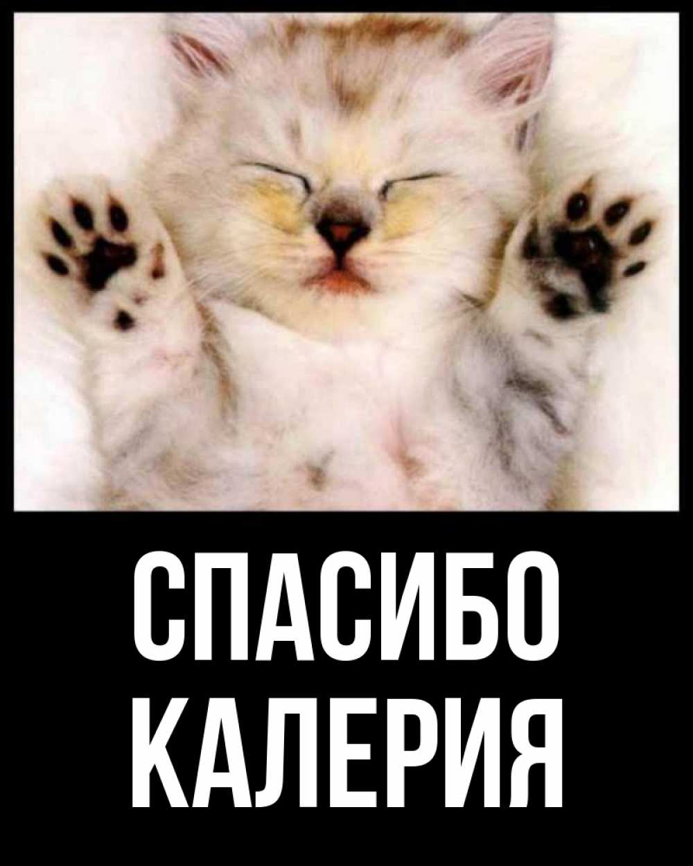 Открытка на каждый день с именем, Калерия Спасибо маленький котенок Прикольная открытка с пожеланием онлайн скачать бесплатно 