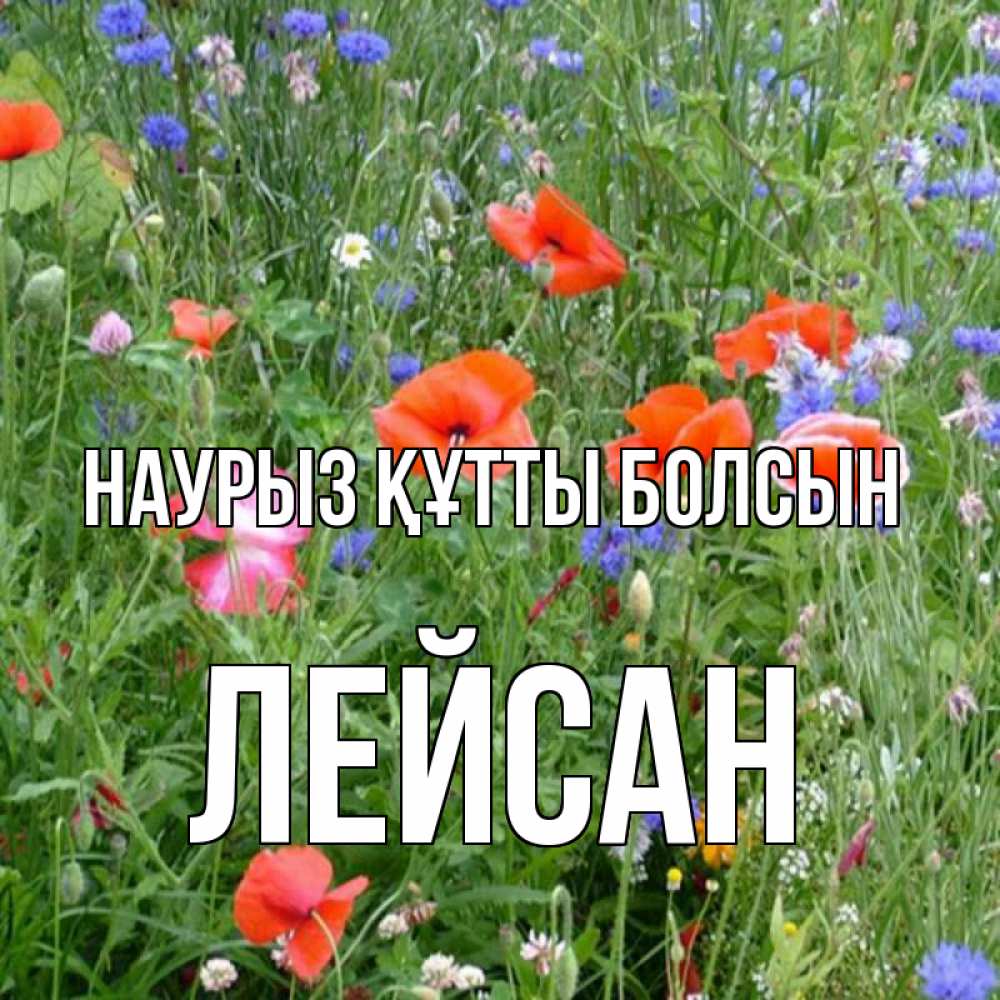 Открытка на каждый день с именем, Лейсан Наурыз құтты болсын наурыз  4 Прикольная открытка с пожеланием онлайн скачать бесплатно 