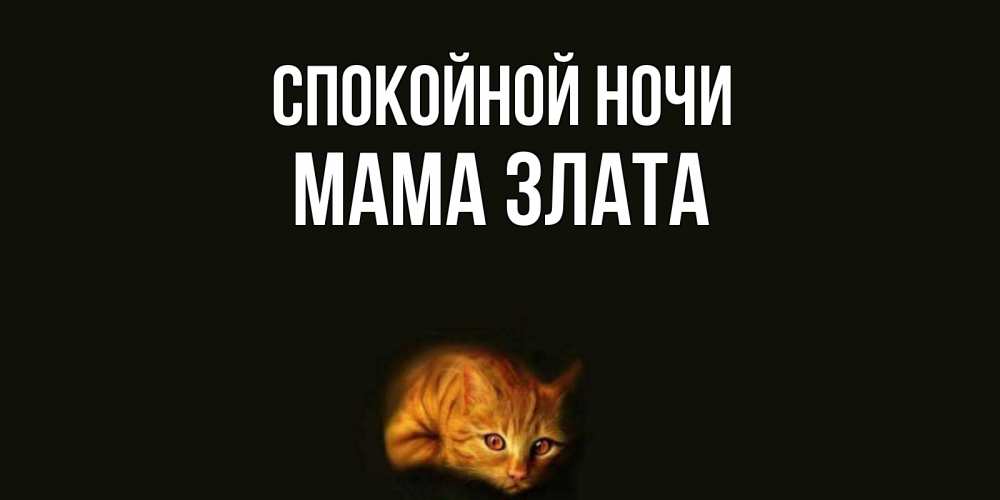 Открытка на каждый день с именем, Мама-Злата Спокойной ночи кот Прикольная открытка с пожеланием онлайн скачать бесплатно 