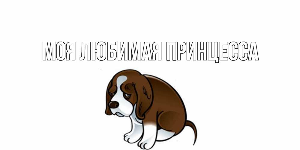 Открытка на каждый день с именем, Моя-Любимая-Принцесса Главная щеночек просит прощения Прикольная открытка с пожеланием онлайн скачать бесплатно 