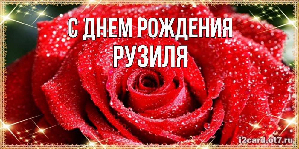 Открытка на каждый день с именем, Рузиля С днем рождения роса и роза. открытка с красивой розой Прикольная открытка с пожеланием онлайн скачать бесплатно 