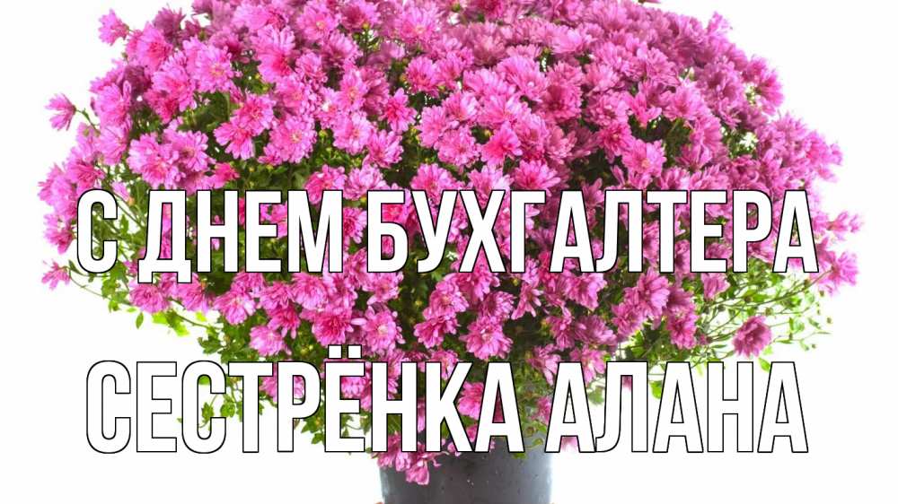 Открытка на каждый день с именем, Сестрёнка-Алана С днем бухгалтера с днем бухгалтера Прикольная открытка с пожеланием онлайн скачать бесплатно 