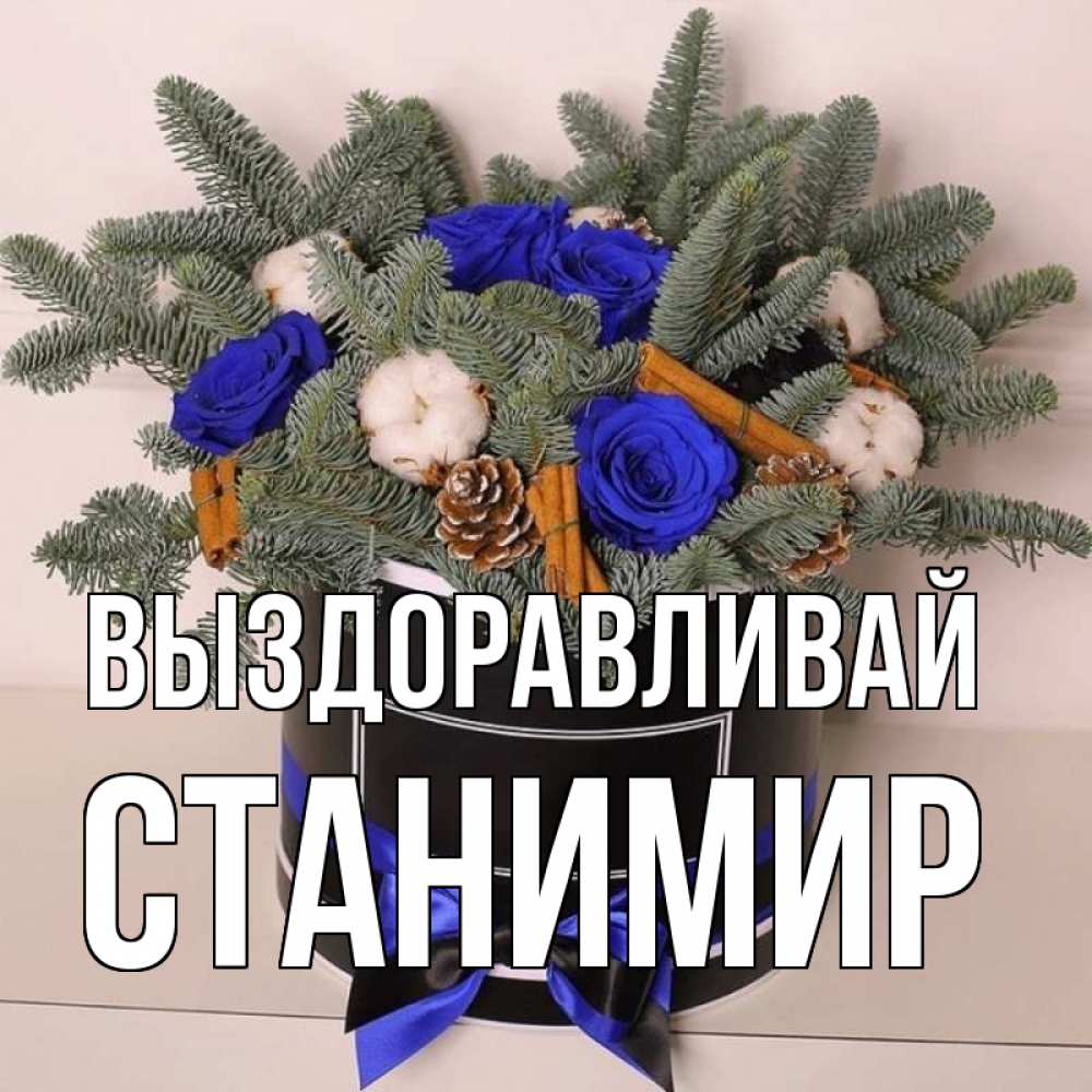 Открытка на каждый день с именем, Станимир Выздоравливай короче кто то загрузил эти шишки Прикольная открытка с пожеланием онлайн скачать бесплатно 