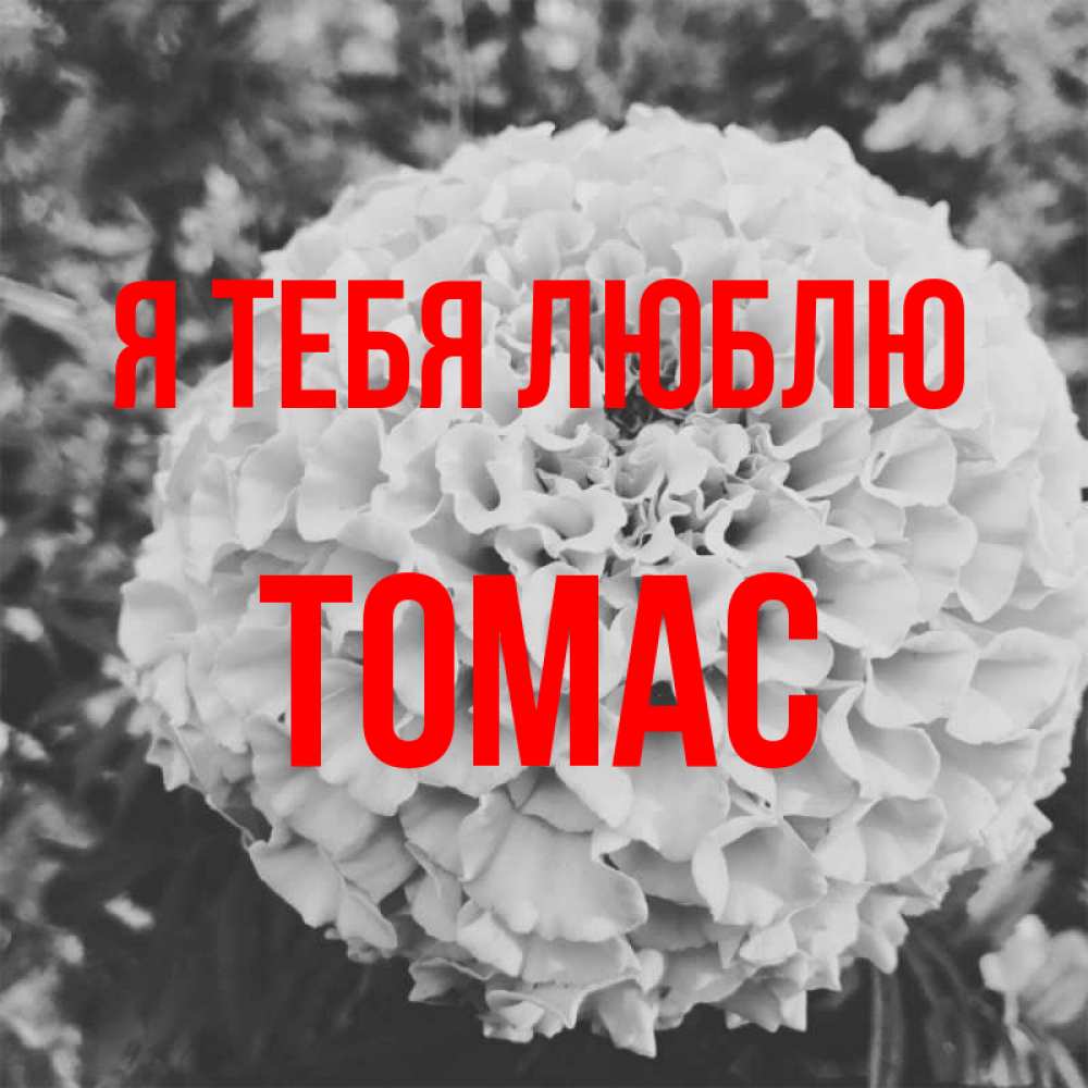 Открытка на каждый день с именем, Томас Я тебя люблю подпись Прикольная открытка с пожеланием онлайн скачать бесплатно 