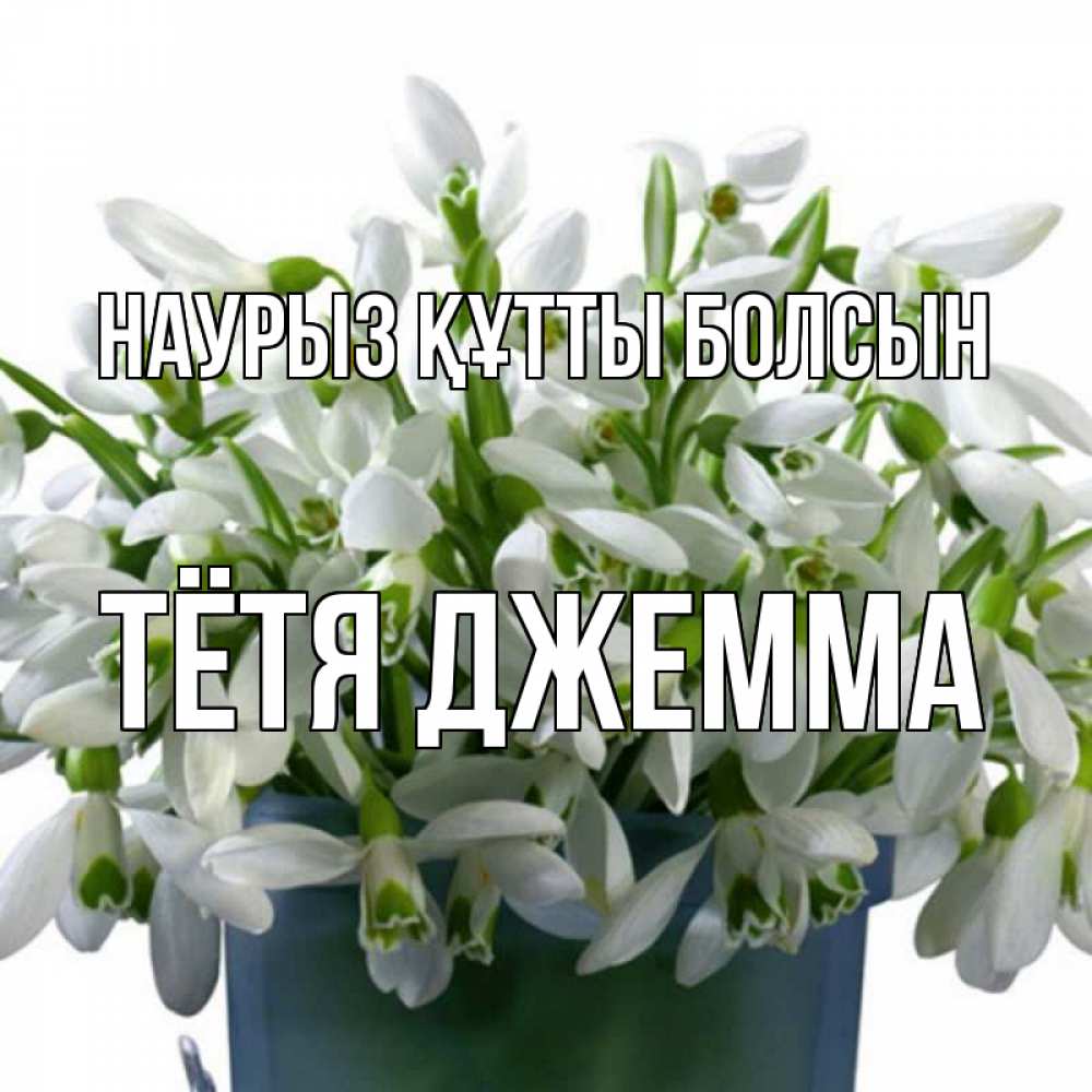 Открытка на каждый день с именем, Тётя-Джемма Наурыз құтты болсын цветы к наурызу Прикольная открытка с пожеланием онлайн скачать бесплатно 
