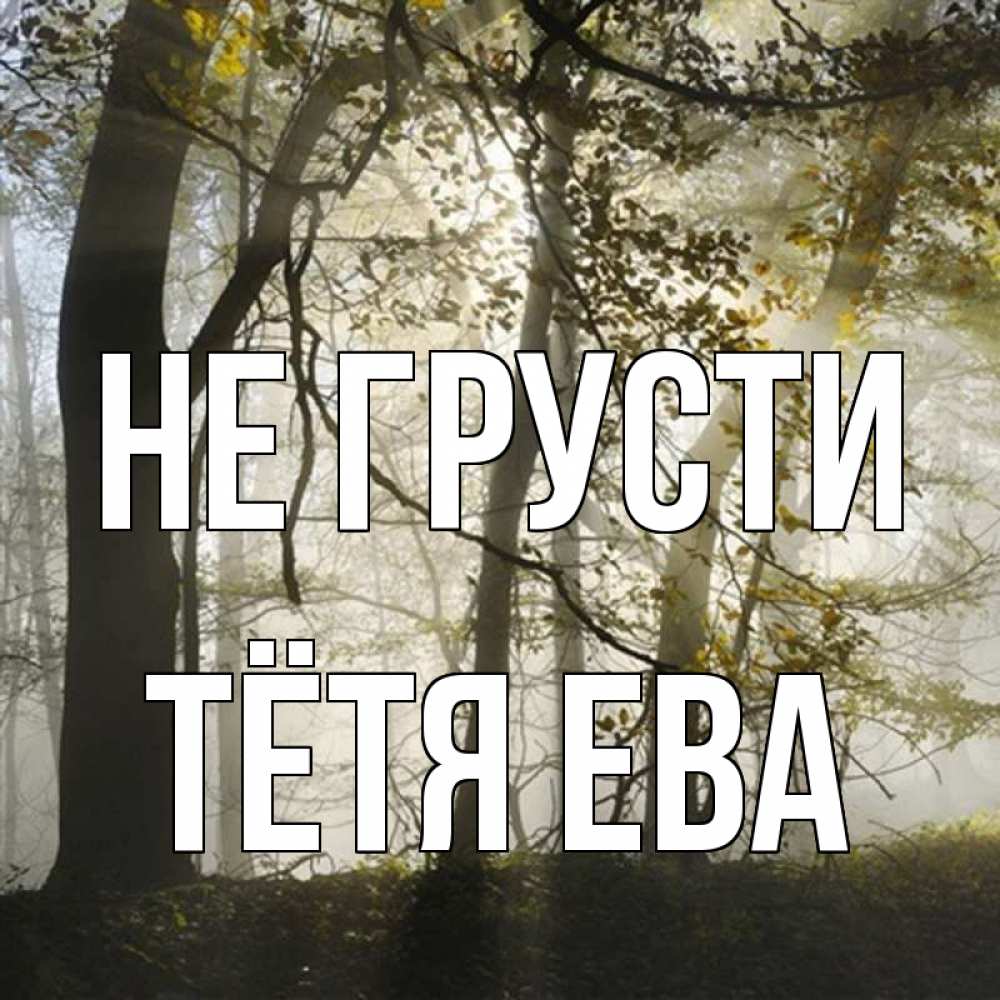Открытка на каждый день с именем, Тётя-Ева Не грусти лес и свет Прикольная открытка с пожеланием онлайн скачать бесплатно 