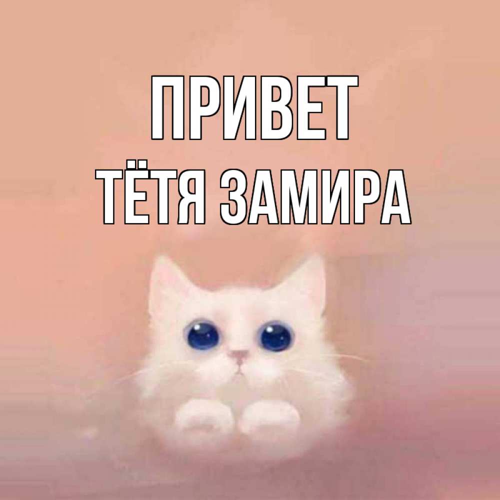 Открытка на каждый день с именем, Тётя-Замира Привет котик белый в полете Прикольная открытка с пожеланием онлайн скачать бесплатно 