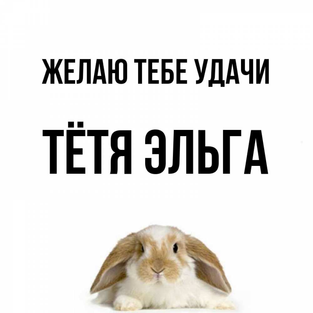 Открытка на каждый день с именем, Тётя-Эльга Желаю тебе удачи открытки с произвольным текстом который можно вставить в открытку и создать ее самостоятельно бесплатно онлайн Прикольная открытка с пожеланием онлайн скачать бесплатно 