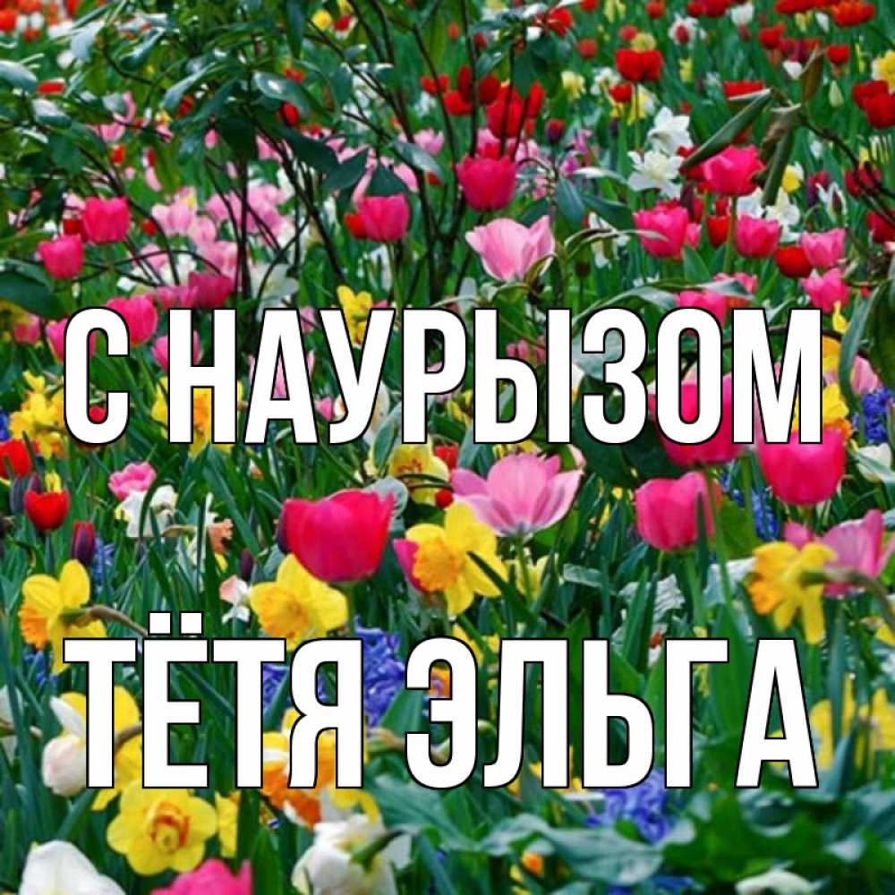 Открытка на каждый день с именем, Тётя-Эльга С наурызом с наурызом праздником весны поздравления для женщины Прикольная открытка с пожеланием онлайн скачать бесплатно 