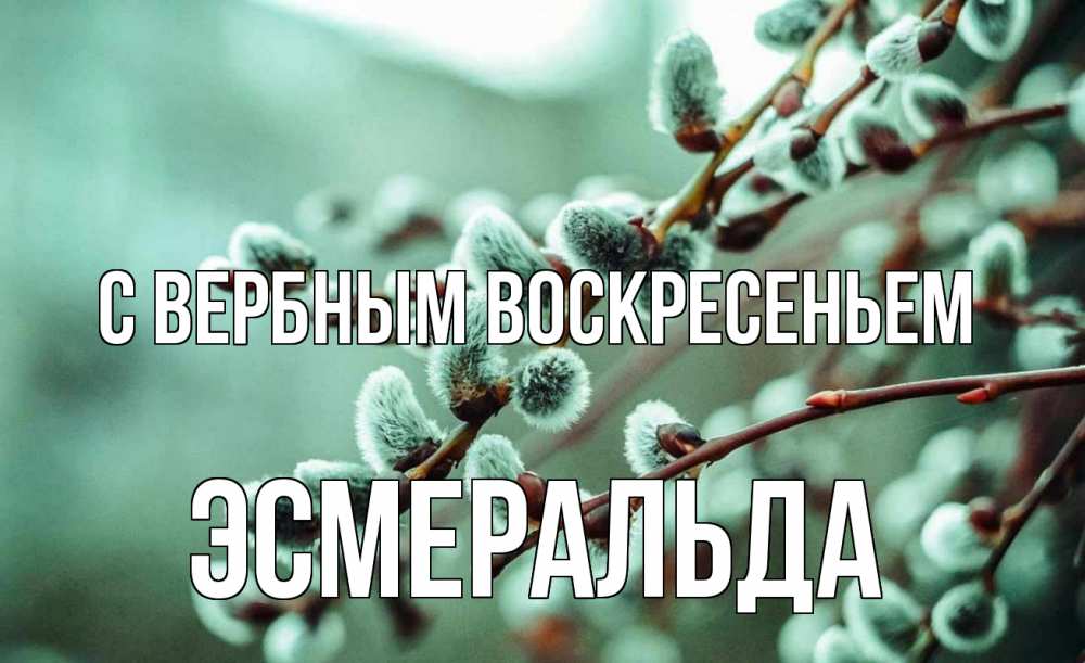 Открытка на каждый день с именем, Эсмеральда С вербным воскресеньем верба Прикольная открытка с пожеланием онлайн скачать бесплатно 