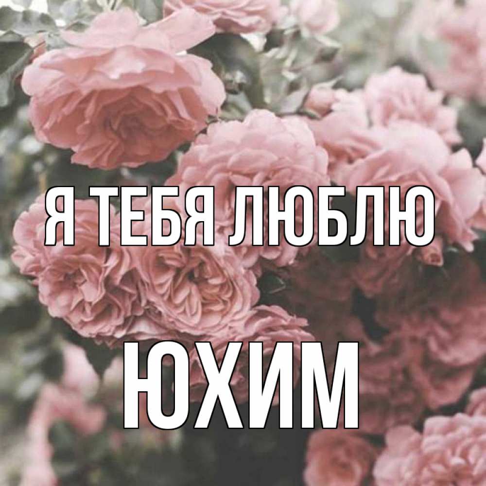 Открытка на каждый день с именем, Юхим Я тебя люблю розы 3 Прикольная открытка с пожеланием онлайн скачать бесплатно 