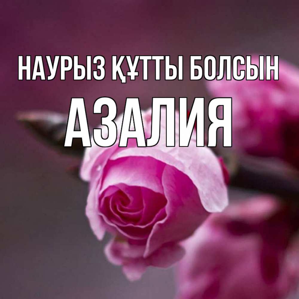 Открытка на каждый день с именем, Азалия Наурыз құтты болсын весна Прикольная открытка с пожеланием онлайн скачать бесплатно 