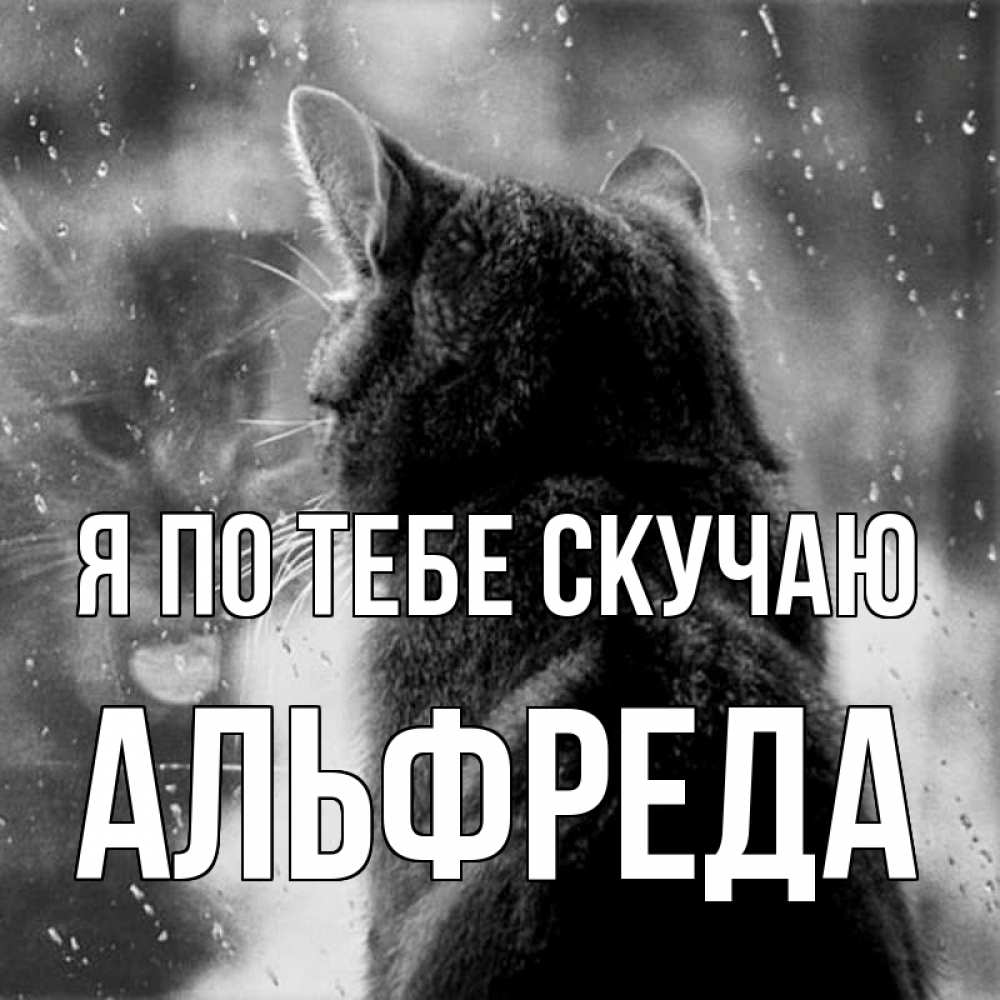Открытка на каждый день с именем, Альфреда Я по тебе скучаю скорее ко мне приходи 1 Прикольная открытка с пожеланием онлайн скачать бесплатно 