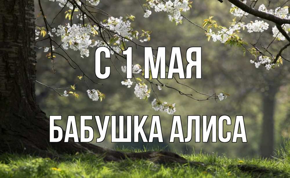 Открытка на каждый день с именем, Бабушка-Алиса С 1 мая С 1 мая Прикольная открытка с пожеланием онлайн скачать бесплатно 