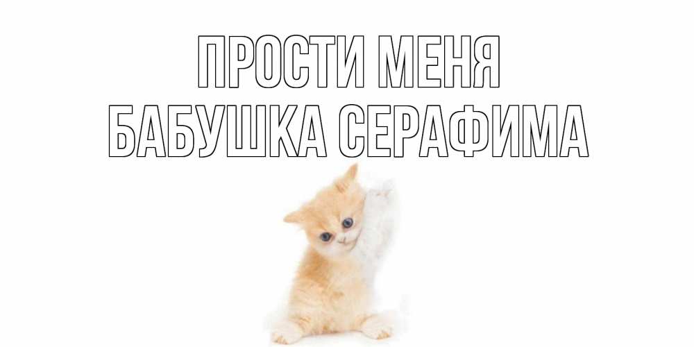 Открытка на каждый день с именем, Бабушка-Серафима Прости меня кот Прикольная открытка с пожеланием онлайн скачать бесплатно 