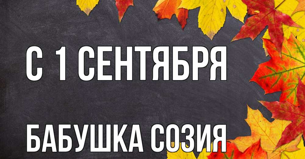 Открытка на каждый день с именем, Бабушка-Созия С 1 сентября с днем знаний Прикольная открытка с пожеланием онлайн скачать бесплатно 