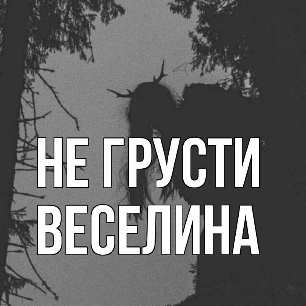 Открытка на каждый день с именем, Веселина Не грусти чудище лесное Прикольная открытка с пожеланием онлайн скачать бесплатно 