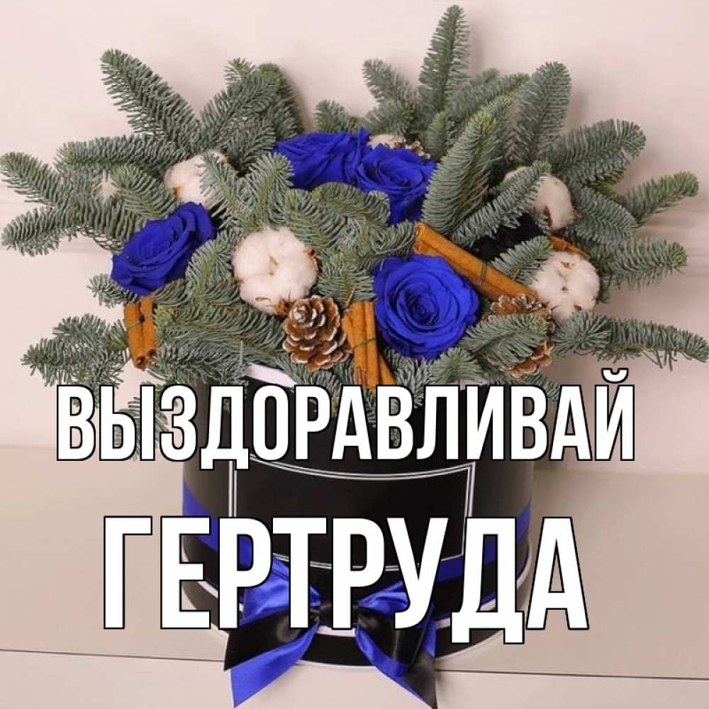 Открытка на каждый день с именем, Гертруда Выздоравливай короче кто то загрузил эти шишки Прикольная открытка с пожеланием онлайн скачать бесплатно 