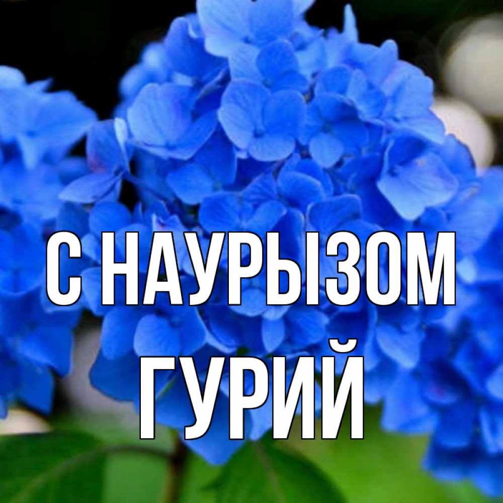Открытка на каждый день с именем, Гурий С наурызом синие цветы Прикольная открытка с пожеланием онлайн скачать бесплатно 