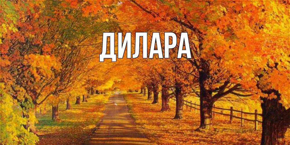 Открытка на каждый день с именем, Дилара Главная деревья с осенними листьями Прикольная открытка с пожеланием онлайн скачать бесплатно 