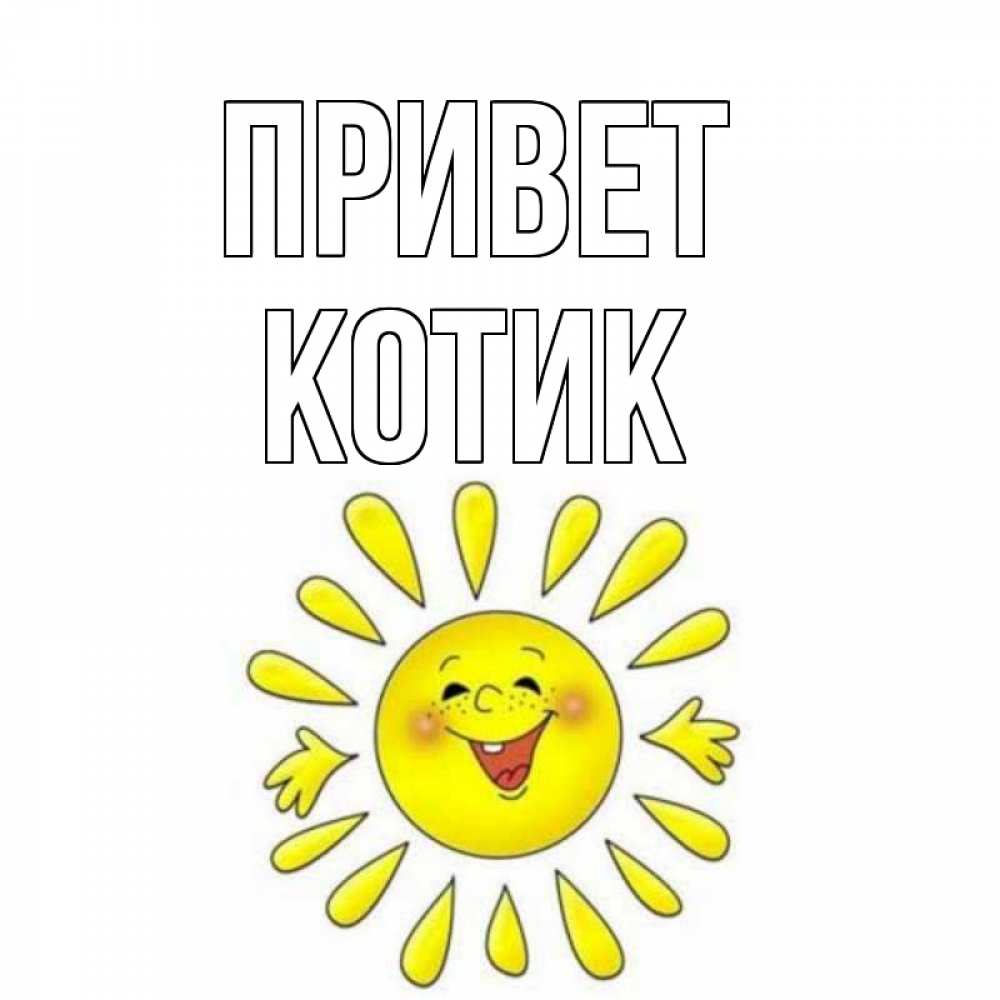 Открытка на каждый день с именем, Котик Привет солнце Прикольная открытка с пожеланием онлайн скачать бесплатно 