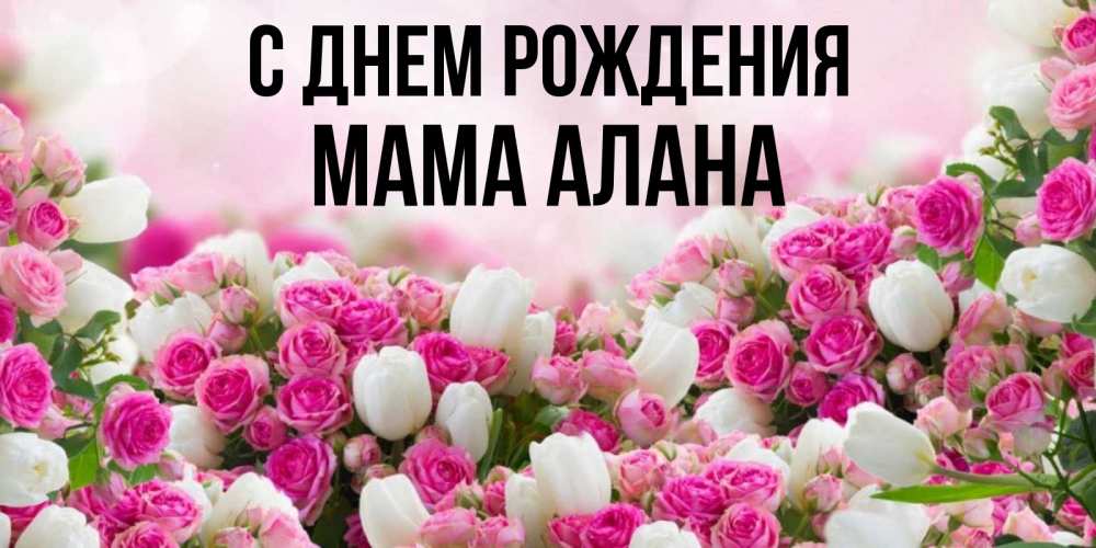 Открытка на каждый день с именем, Мама-Алана С днем рождения открытка с разными розами Прикольная открытка с пожеланием онлайн скачать бесплатно 