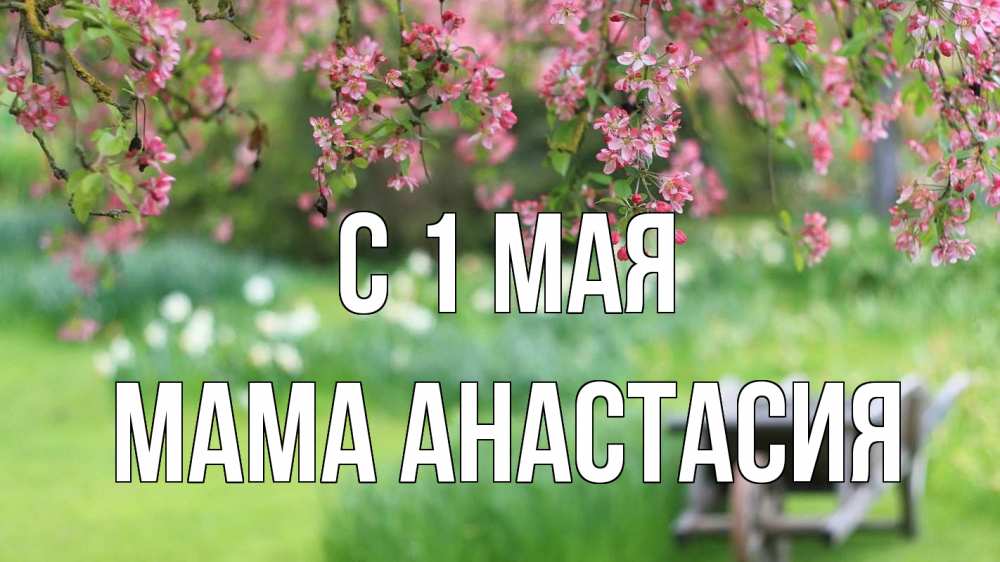 Открытка на каждый день с именем, Мама-Анастасия С 1 мая С 1 мая Прикольная открытка с пожеланием онлайн скачать бесплатно 
